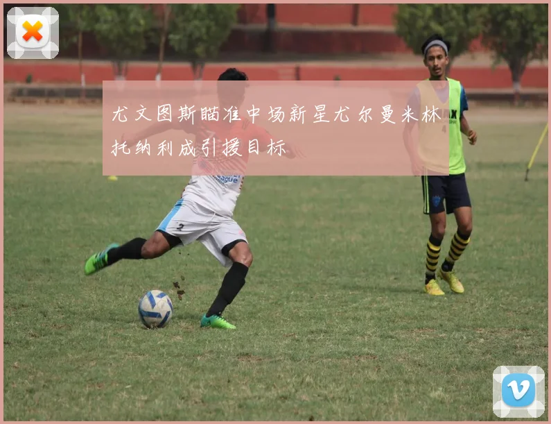 尤文图斯瞄准中场新星尤尔曼米林托纳利成引援目标